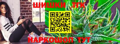 гашик Шахты